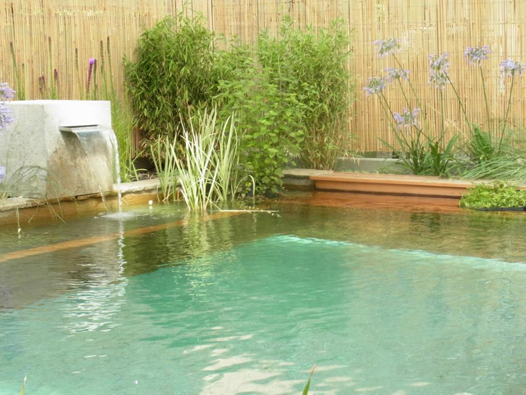 Der Gartenteich ist tot. Beleben Sie ihn wieder! – Bellvital Teich