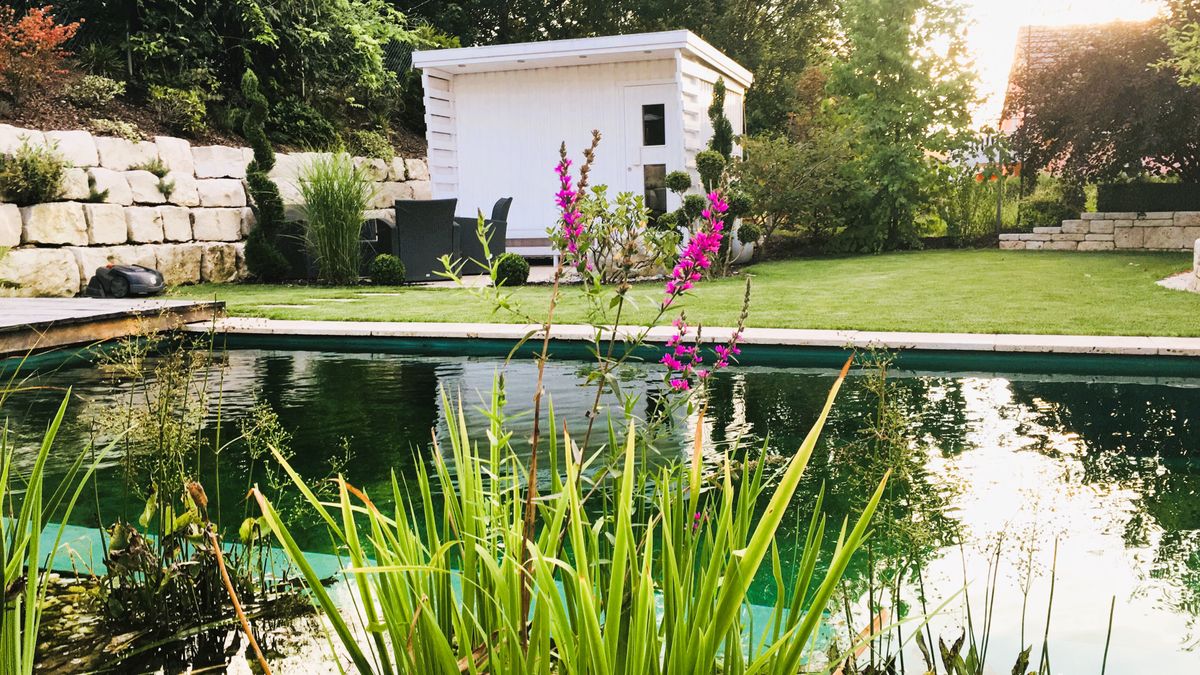 Schwimmteich Tödtenried – Schwimmteich